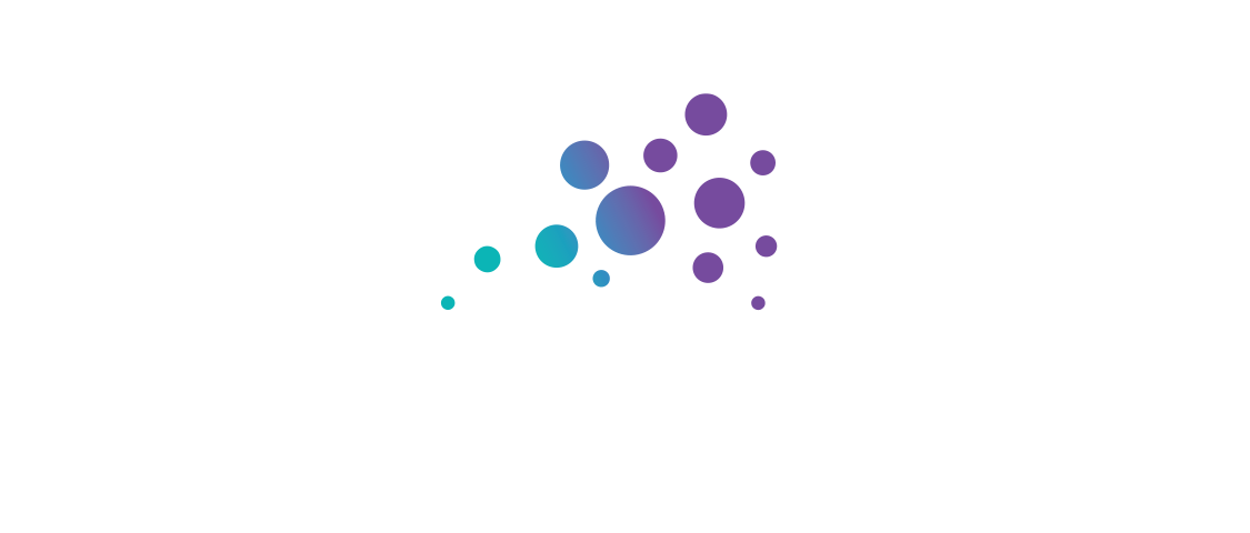 Schmidt Sciences